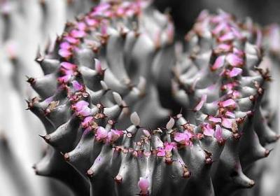 相爱却不能在一起的句子(精选69句)