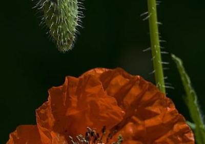百好不如一坏的句子(必备10句)