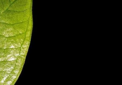 看不惯一个人的句子(合集40句)