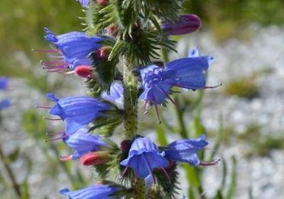 看风景的经典句子(优选79句)