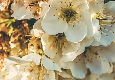 真心喜欢一个人的句子(实用60句)