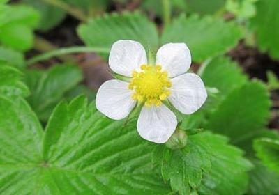 疯狂过后该清醒的句子(通用57句)