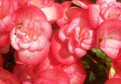 看透亲情的句子(共40句)