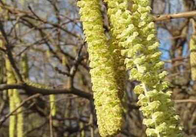 真心对待一个人的句子(实用40句)