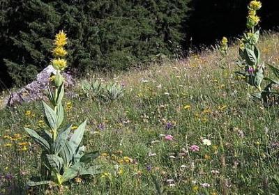 看透的句子(通用50句)