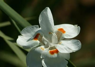 看不上别人的句子(共51句)