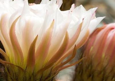 真心实意的句子(实用60句)