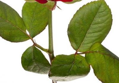 相遇美好的句子(实用50句)