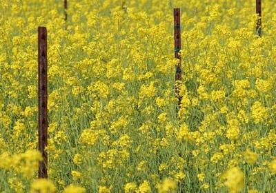 痛到骨子里心碎的句子(热门59句)