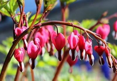 看透世俗的句子(合集40句)