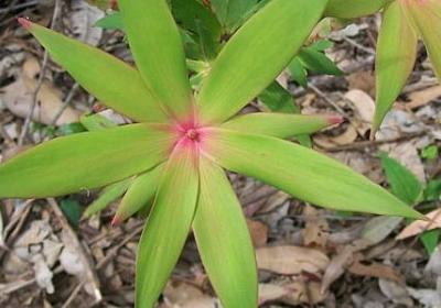 看人心的句子(合集40句)