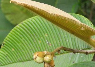 看透人间冷暖的句子(推荐39句)