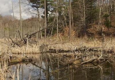 白头偕老的唯美句子(推荐50句)