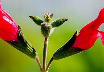 看透婆婆的经典句子(精选50句)