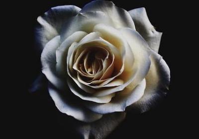 看透人和事的句子(汇总70句)