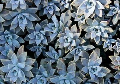 看人品的经典句子(共80句)