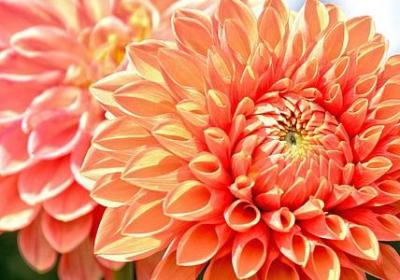 看着心疼的句子(优选70句)