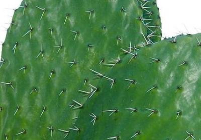 相互成就的句子(推荐60句)