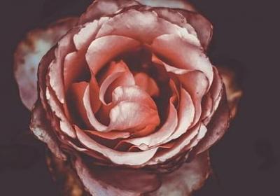 看透生死的哲理句子(必备40句)