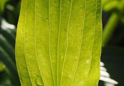 痛到无法呼吸的句子(汇总50句)