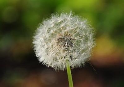 相隔千里的思念的句子(实用70句)