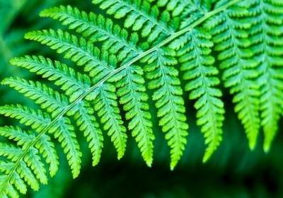 看破生死的句子(汇总70句)