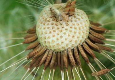 瘦的句子说说心情短语(共40句)