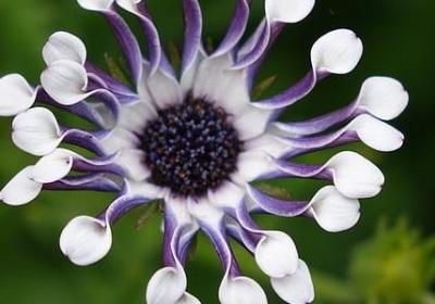 看到希望的句子(共40句)