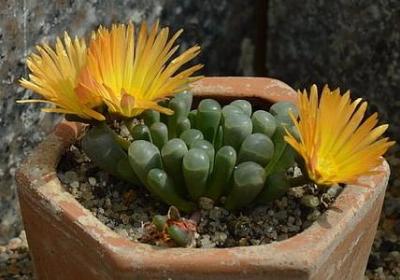 相伴一生的句子(热门90句)