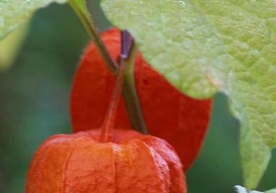 看淡感情的句子(实用50句) 看淡感情的句子(实用50句)