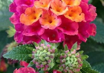 相信未来的句子(合集30句) 相信未来的句子(合集30句)