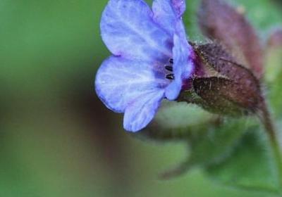 痛到心滴血的句子(合集40句) 痛到心滴血的句子(合集40句)