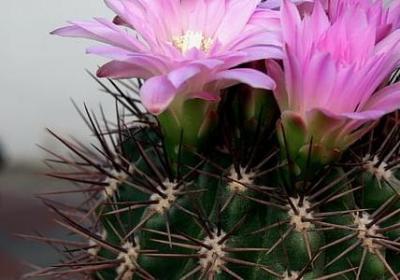 相互的句子(热门100句) 相互的句子(热门100句)