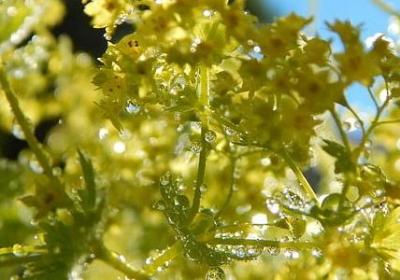 看错人的句子(推荐68句) 看错人的句子(推荐68句)