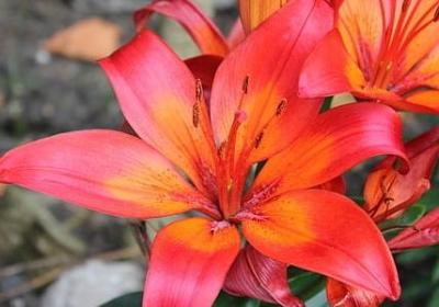 相信团队的力量句子(实用40句) 相信团队的力量句子(实用40句)