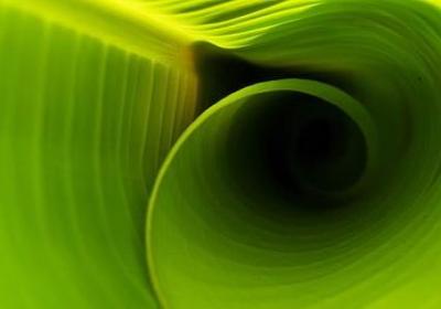 相爱的句子(必备60句) 相爱的句子(必备60句)