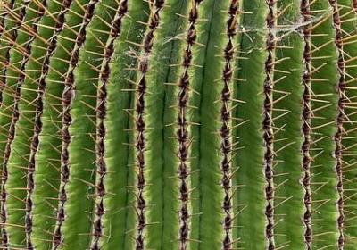 看开看透的经典句子(合集60句) 看开看透的经典句子(合集60句)