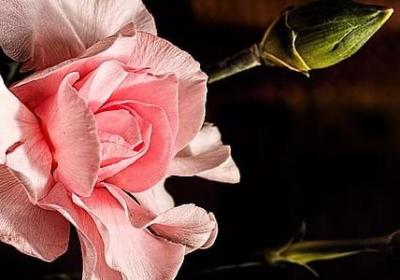 看淡一切的句子简短(必备40句) 看淡一切的句子简短(必备40句)