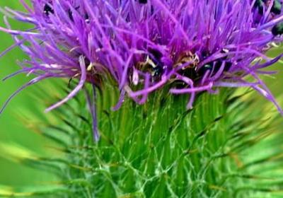 真实的句子(合集60句)