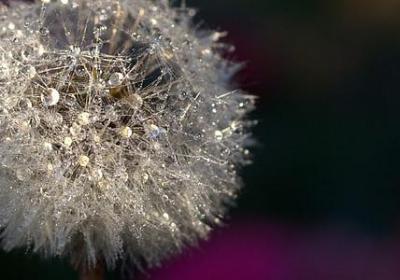 看透了某些人的句子(共67句)