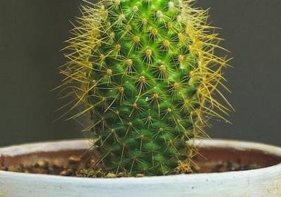 相互体谅包容的句子(优选70句)