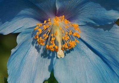 看到老人心酸的句子(共40句)