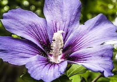 相聚不易的句子(实用59句)