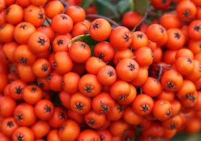 看的开的句子(优选20句)