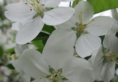 看开看淡的句子(优选70句)