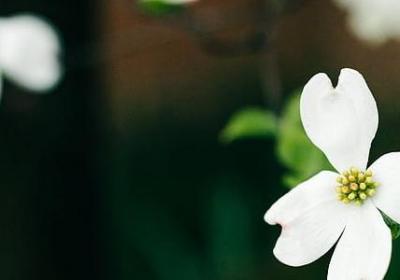 看脸的时代的经典句子(合集40句)