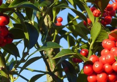 相互珍惜的句子(实用40句)