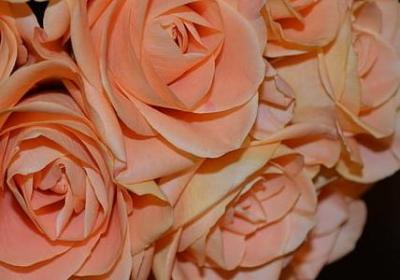 看脸时代的内涵句子(精选60句)