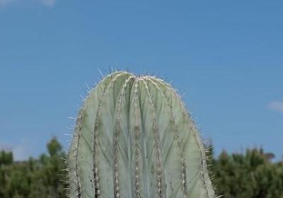 看淡一切的句子(优选60句)