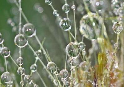 痛只有自己知道的句子(精选80句)